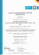  ISO 9001
