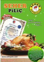  Grsel 2