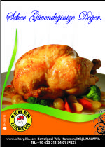 Grsel 3